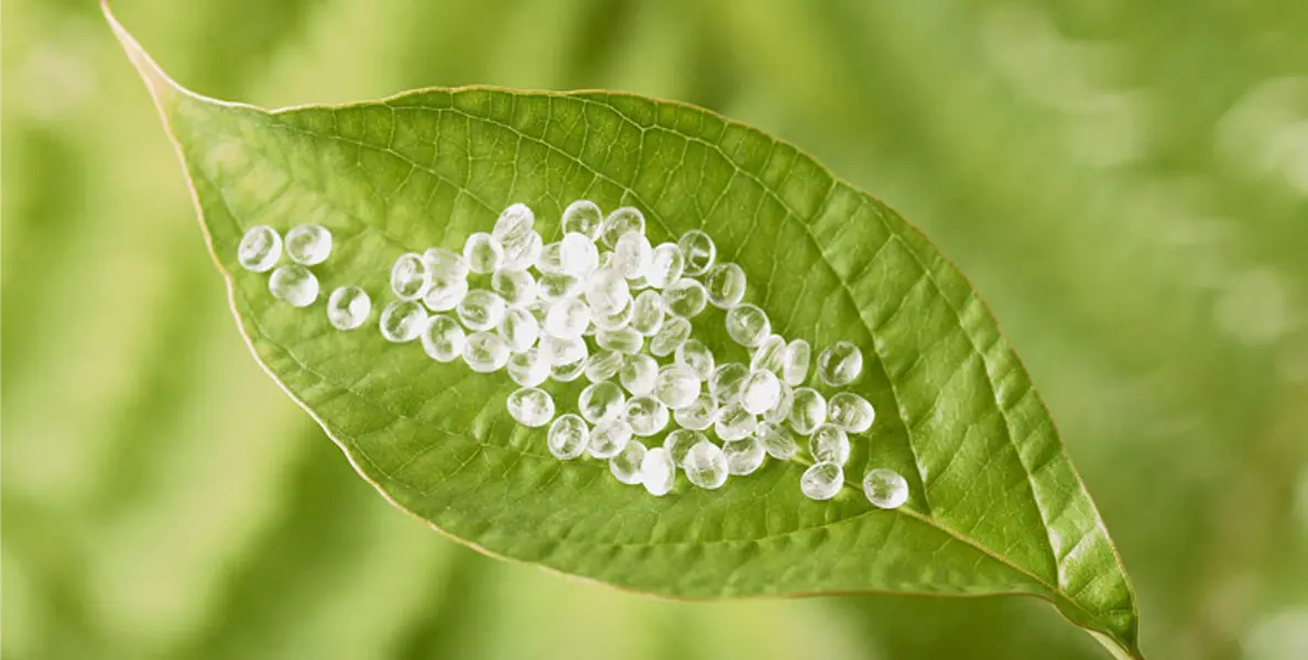 植物由来のPLA樹脂